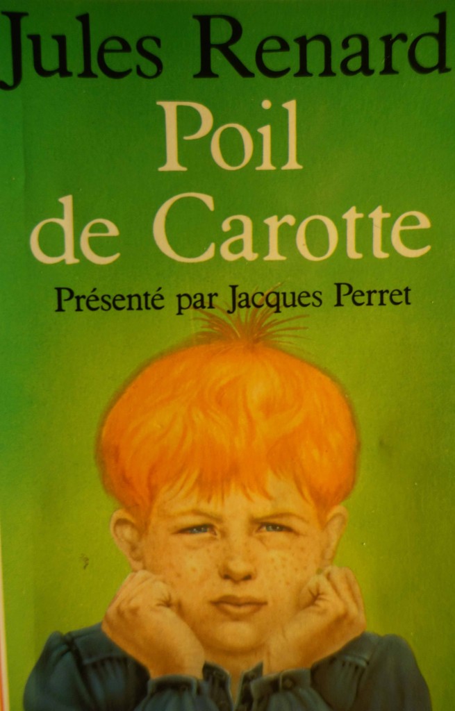 Résumé Poil De Carotte Par Chapitre
